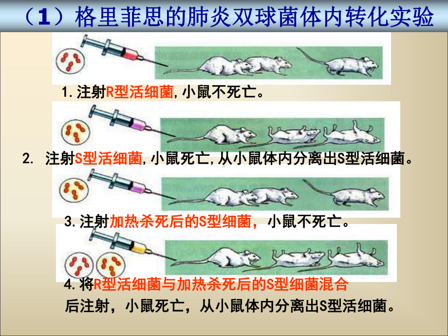 人教版高一生物必修二教学课件31DNA是主要的遗传物质(共16张).ppt_第3页