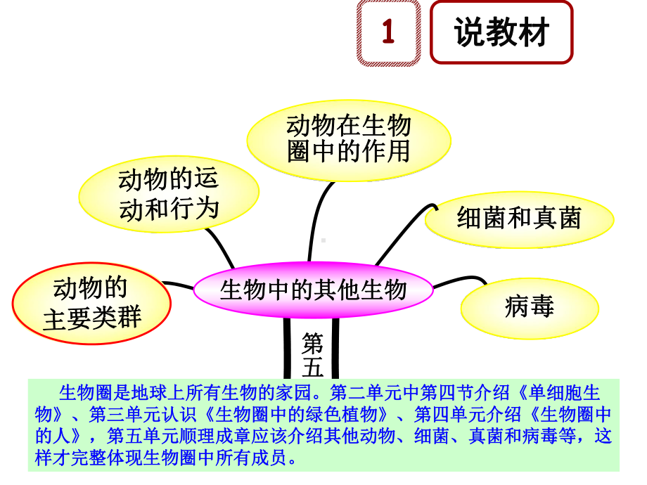 人教版八年级上册生物说课课件：第七节哺乳动物(14张幻灯片).pptx_第3页