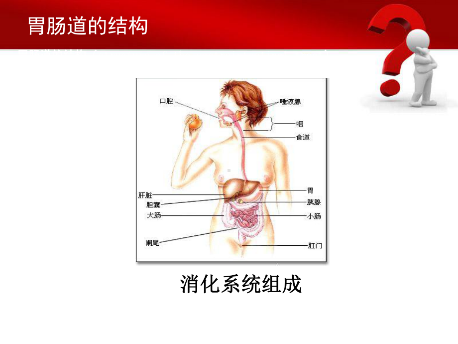 急性胃肠损伤课件.ppt_第2页