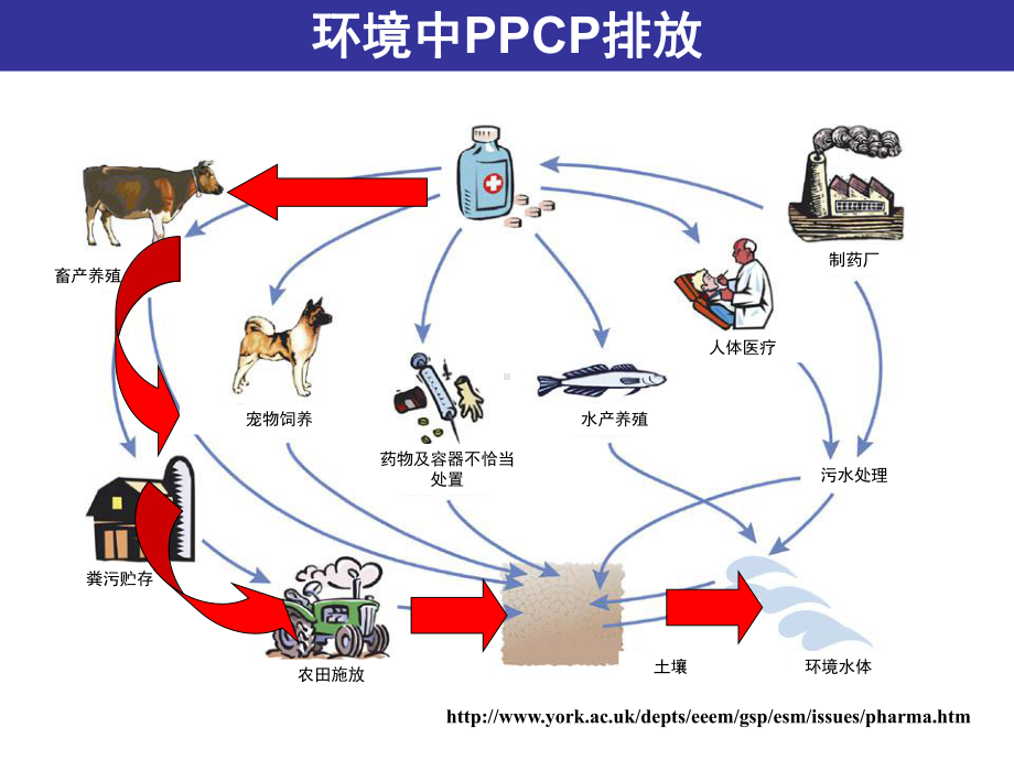 （抗生素课件）环境中药物与个人护理品监测技术.ppt_第3页