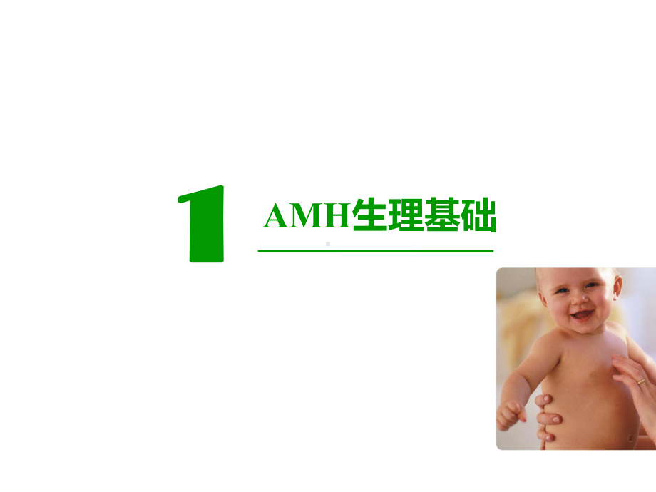 amh临床应用-课件.pptx_第3页