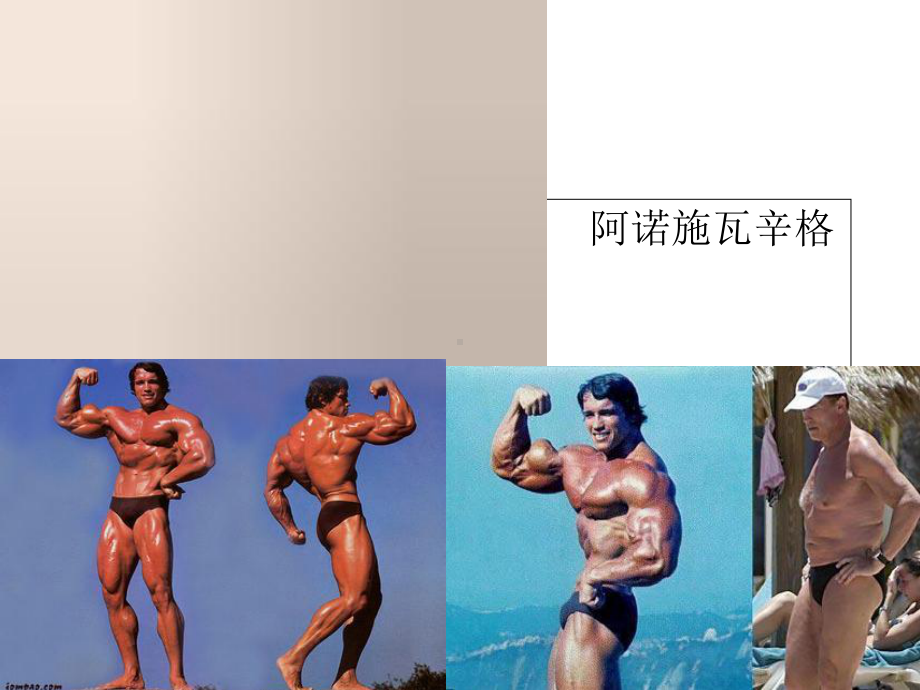 人体解剖学肌肉医学.ppt_第2页