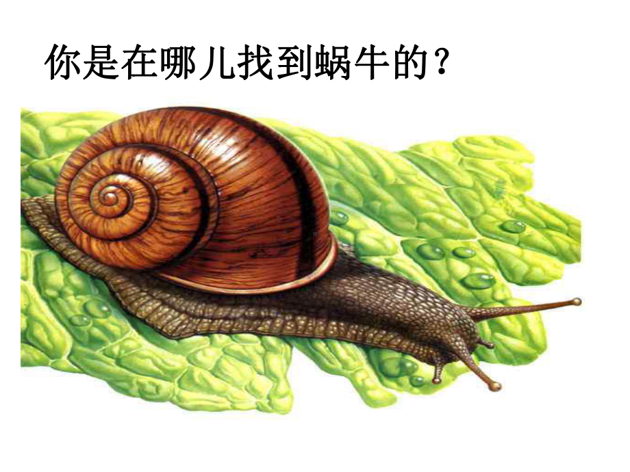 《生物体对环境变化具有反应》课件2.ppt_第3页