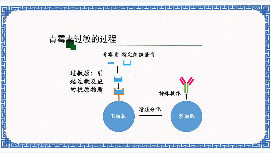 人教版高二生物选择性必修1第3节免疫失调(第二课时)课件牛老师.pptx_第3页