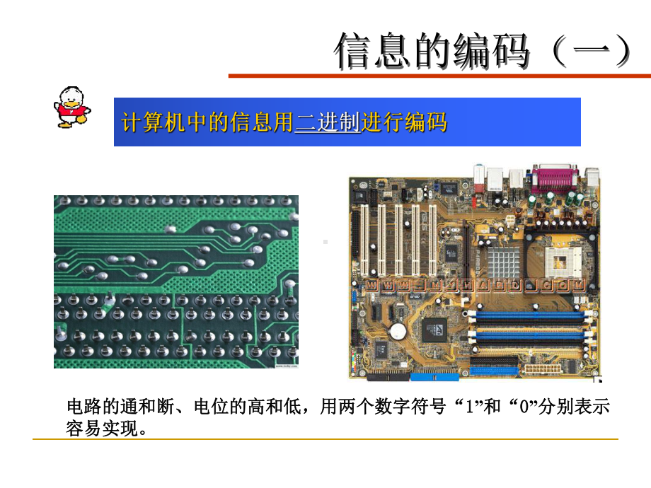 信息编码课件.ppt_第3页