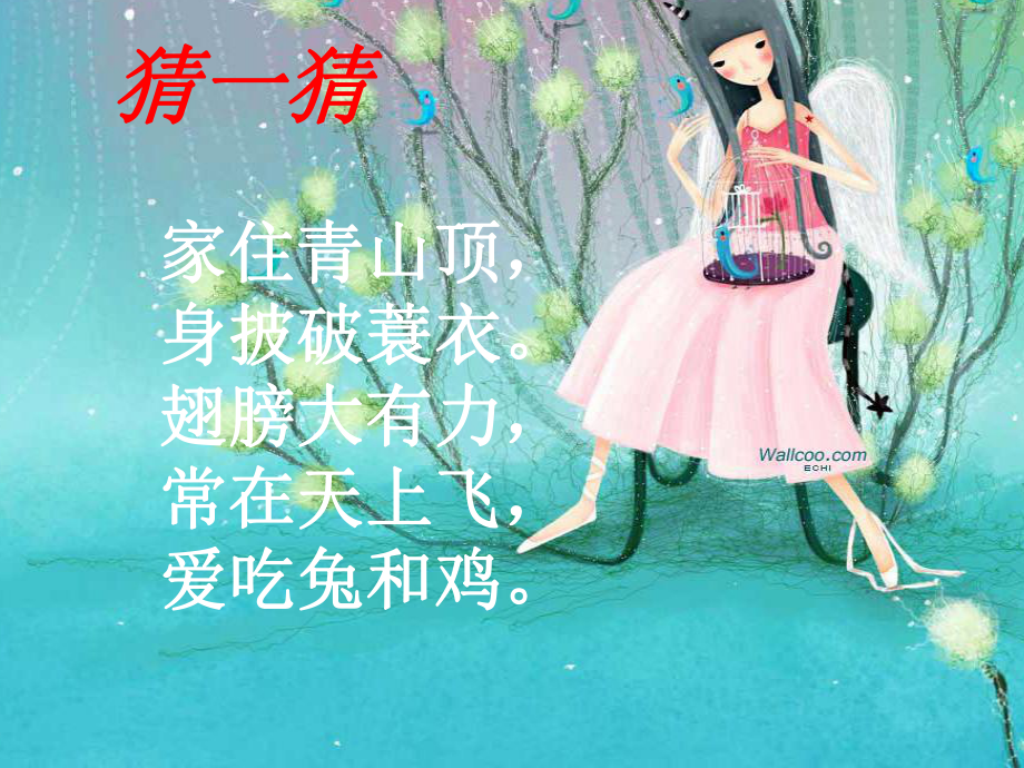 小学美术《鸟之王》课件设计.ppt_第3页