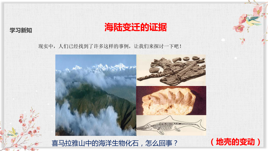 人教版初一地理上册课件《海陆的变迁》(同名2398).pptx_第3页