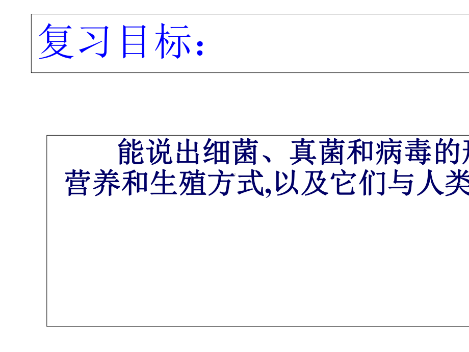 人教版初中八年级生物上册细菌、真菌和病毒复习课件.ppt_第2页