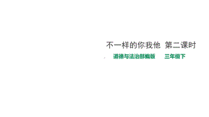 不一样的你我他第二课时课件.ppt