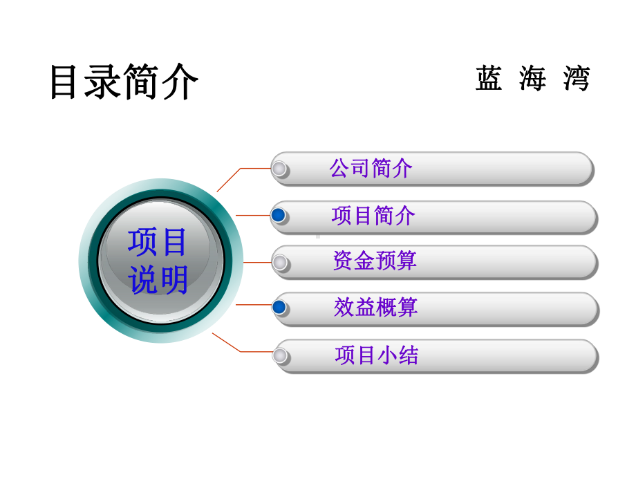 沙保项目简介课件.ppt_第2页