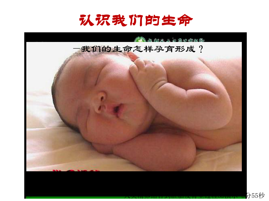 小学主题班会《感恩生命》课件.ppt_第3页