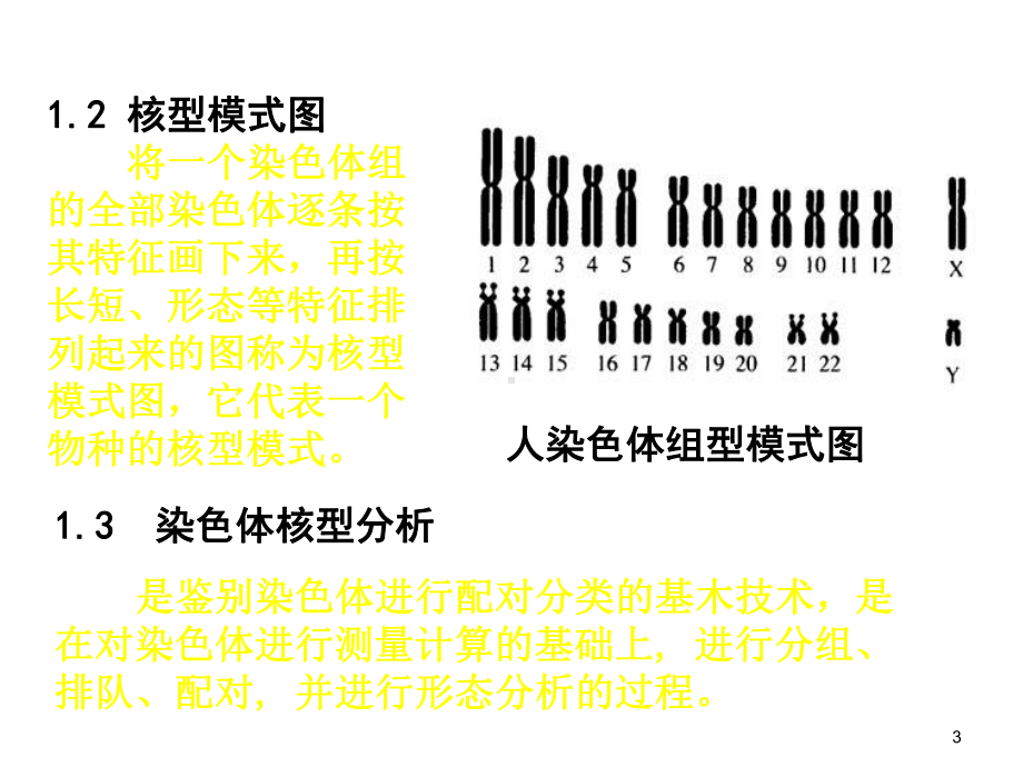 核型与带型分析课件.ppt_第3页