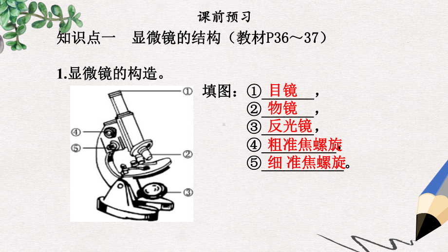 七年级生物上册第二单元第一章第一节练习使用显微镜课件新版新人教版2.ppt_第3页