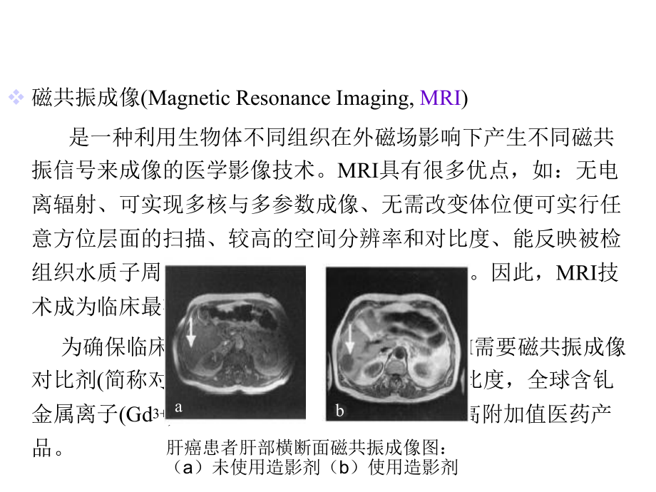 临床安全高效磁共振成像对比剂的研发精选.ppt_第3页