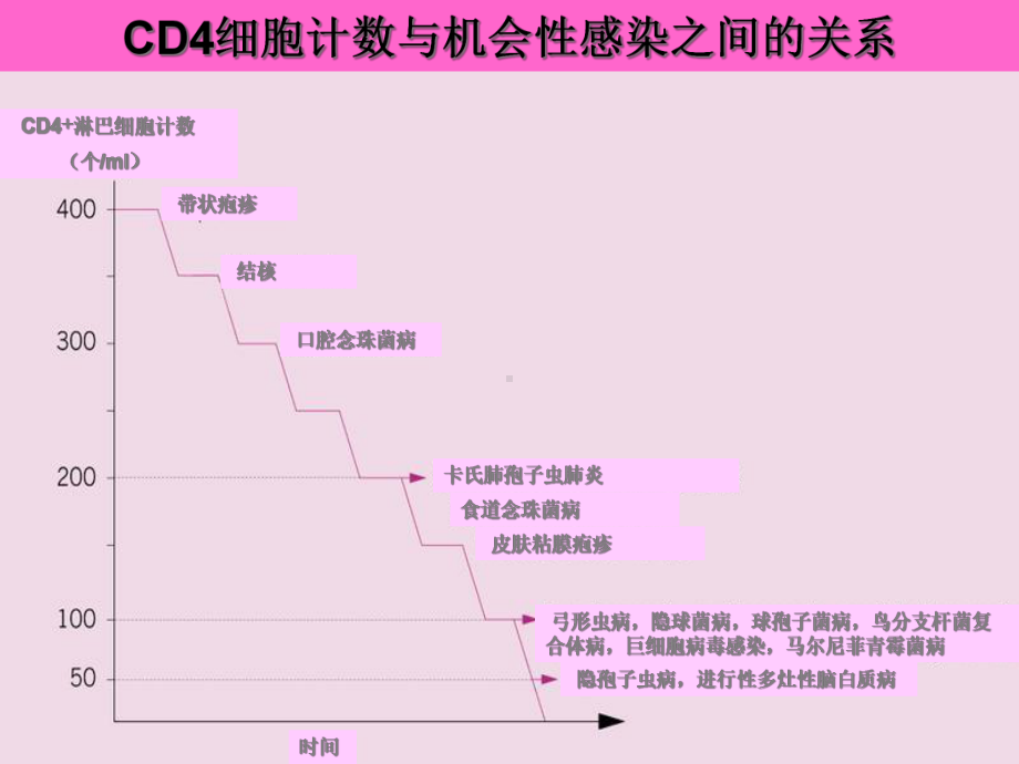 hiv合并马尔尼菲青霉的诊断和治疗课件.ppt_第3页