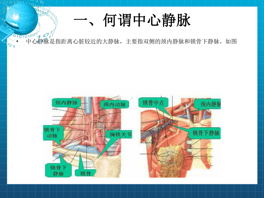 《中心静脉穿刺置管》课件2.pptx_第2页