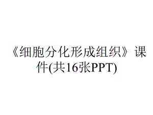 《细胞分化形成组织》课件(共16张PPT).pptx