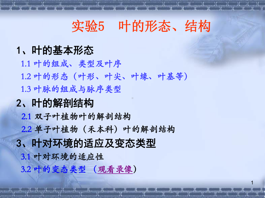 实验5-叶的形态与结构.ppt_第1页