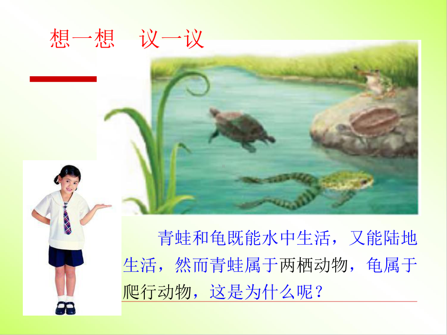 两栖动物和爬行动物课件.ppt_第2页