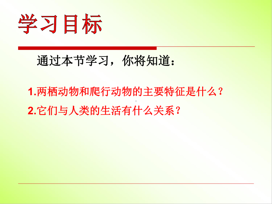 两栖动物和爬行动物课件.ppt_第3页