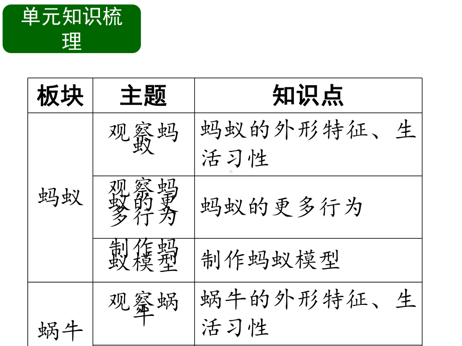 二年级下册科学第三单元观察小动物鄂教版.pptx_第2页