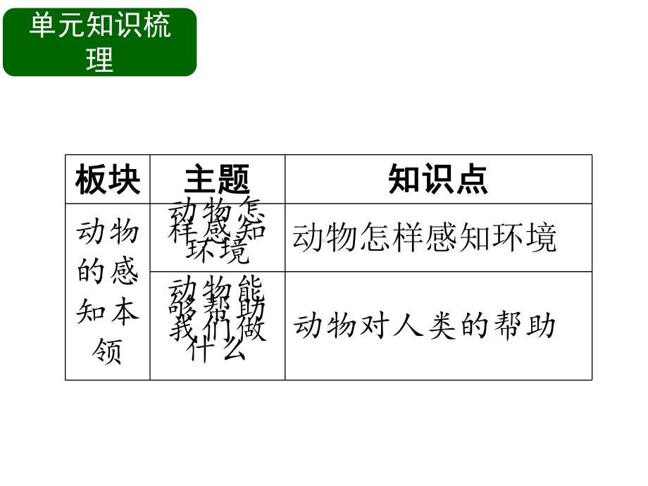 二年级下册科学第三单元观察小动物鄂教版.pptx_第3页