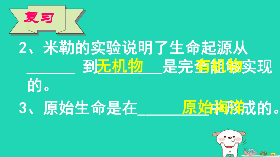 新人教版八年级生物下册第二节-生物进化的历程课件.ppt_第3页