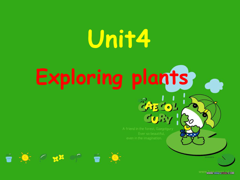 人教版高中英语选修九Unit4Exploringplants课件.pptx--（课件中不含音视频）_第2页