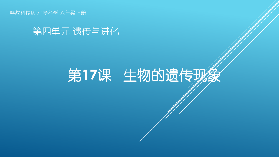 粤教版小学科学六年级上册第17课《生物的遗传现象》教学课件.pptx_第1页