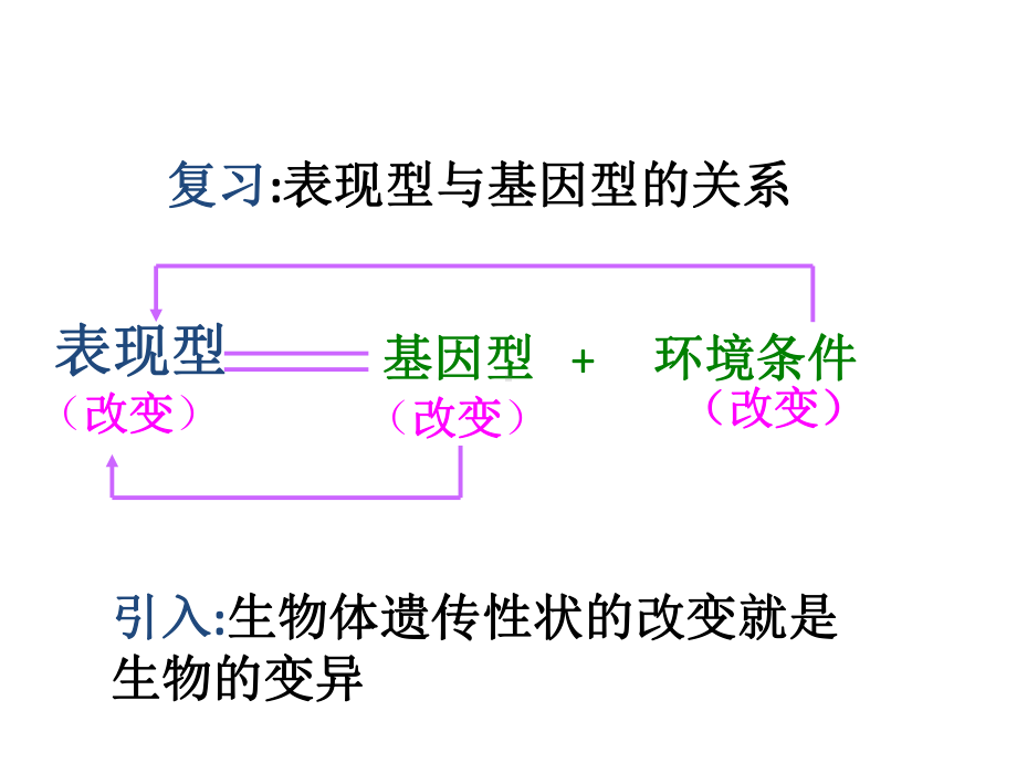 高中生物必修二第五章基因突变及其他变异(整章课件).pptx_第2页