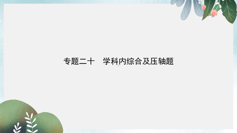 中考物理专题二十学科内综合及压轴题复习习题课件(同名369).ppt_第1页