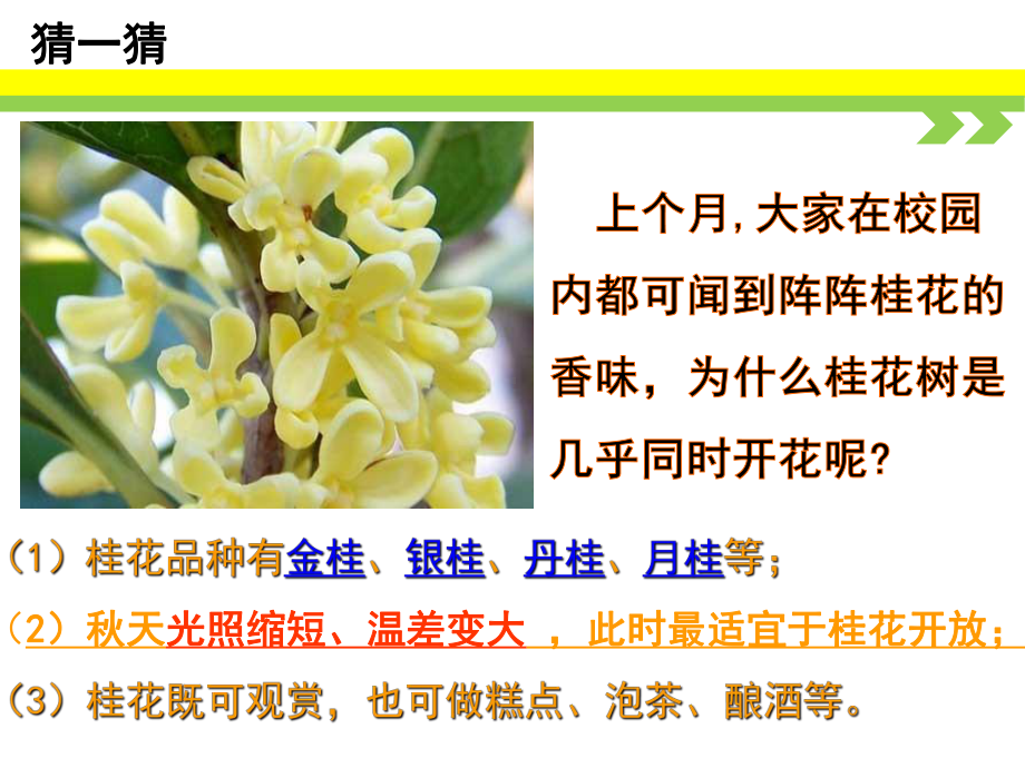 浙教版科学八年级上册植物生命活动的调节课件.ppt_第1页