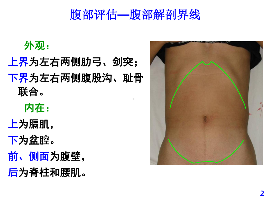 《腹部评估》课件.ppt_第2页