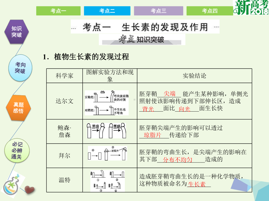 全国高考生物总复习植物的激素调节课件.pptx_第2页