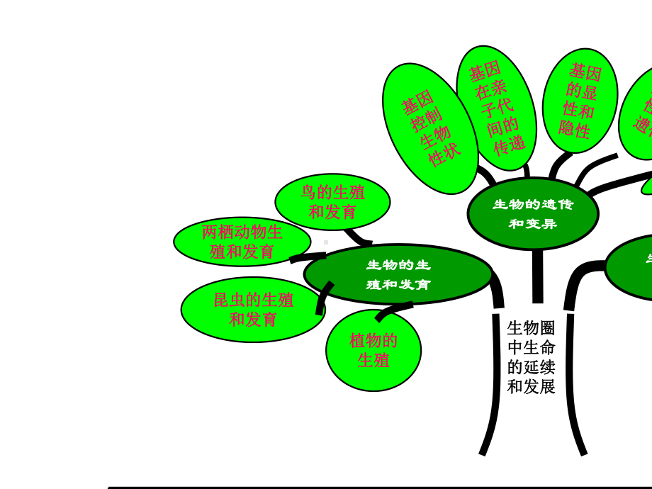 （八下生物）新人教版八年级生物下册总复习习题-(1)ppt课件-精选课件.ppt_第2页