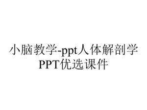 小脑教学-ppt人体解剖学PPT优选课件.ppt