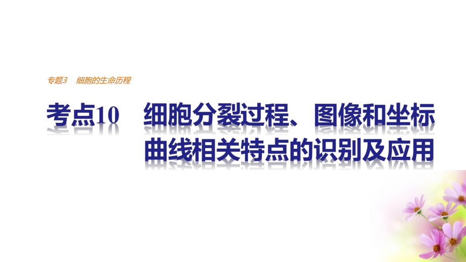 考点10细胞分裂过程、图像和坐标曲线相关特点的识别及应用课件.ppt_第1页