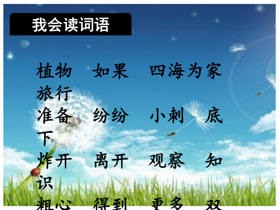 教学课件-植物妈妈有办法完整版.ppt_第3页