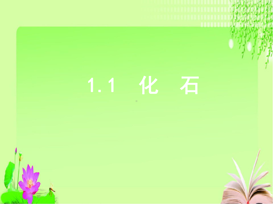 小学科学鄂教版六年级下册高效课堂11化石课件.ppt_第2页