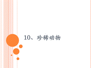 科学公开课课件三年级上册科学课件10珍稀动物粤教版(共30张).pptx