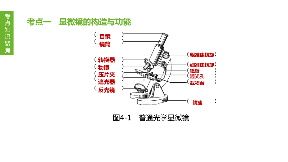 中考生物一轮复习课件：专题04显微镜的构造与使用.pptx_第2页