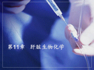 中职生物化学课件第1112章.ppt