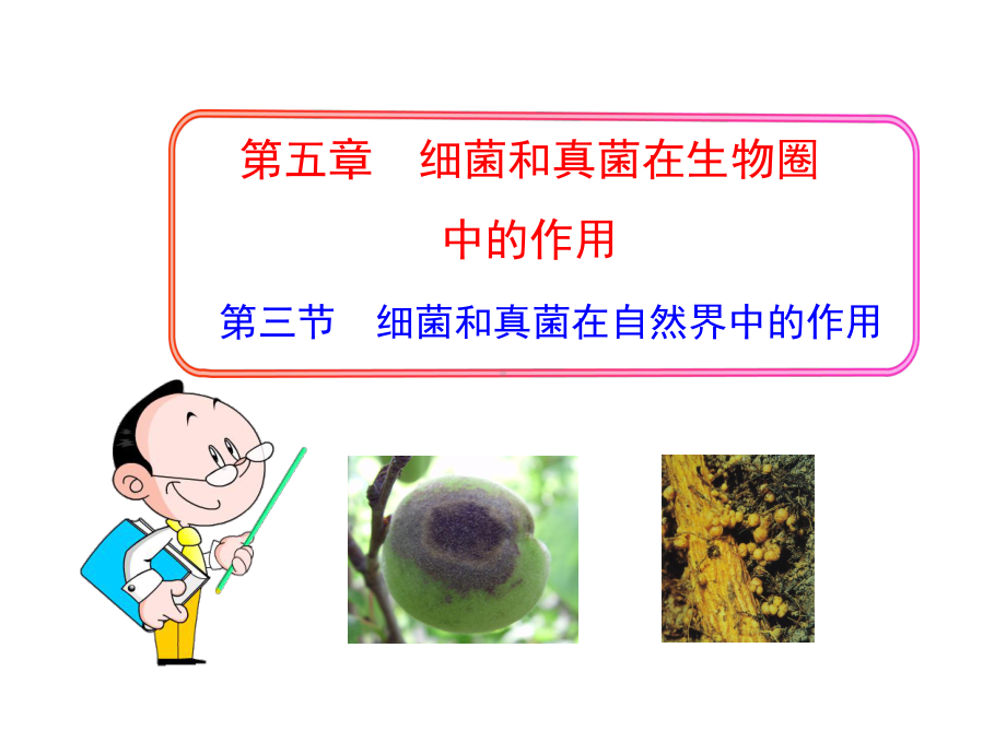 细菌和真菌在自然界中的作用-2课件.ppt_第1页