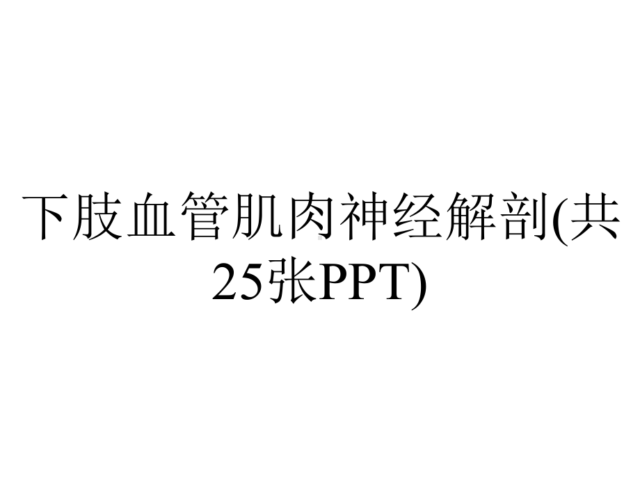 下肢血管肌肉神经解剖(共25张PPT).pptx_第1页