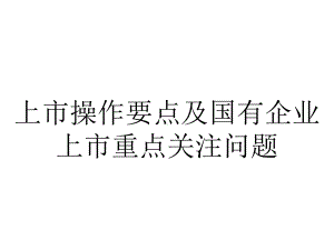 上市操作要点及国有企业上市重点关注问题.ppt