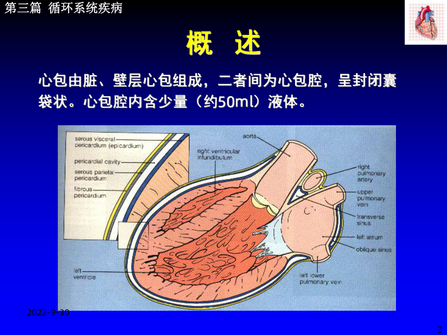 《心包炎缩减版》课件2.ppt_第3页