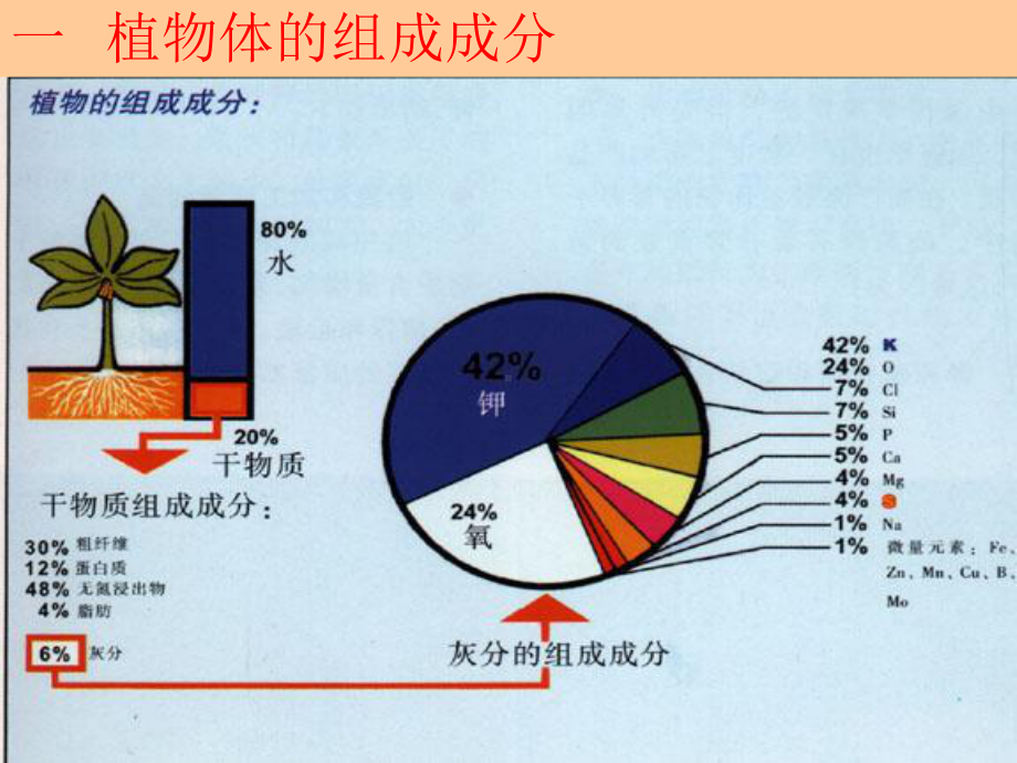 《植物的营养成分》课件.ppt_第3页