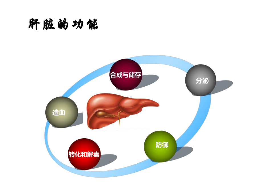 人工肝治疗进课件医学-2.ppt_第2页