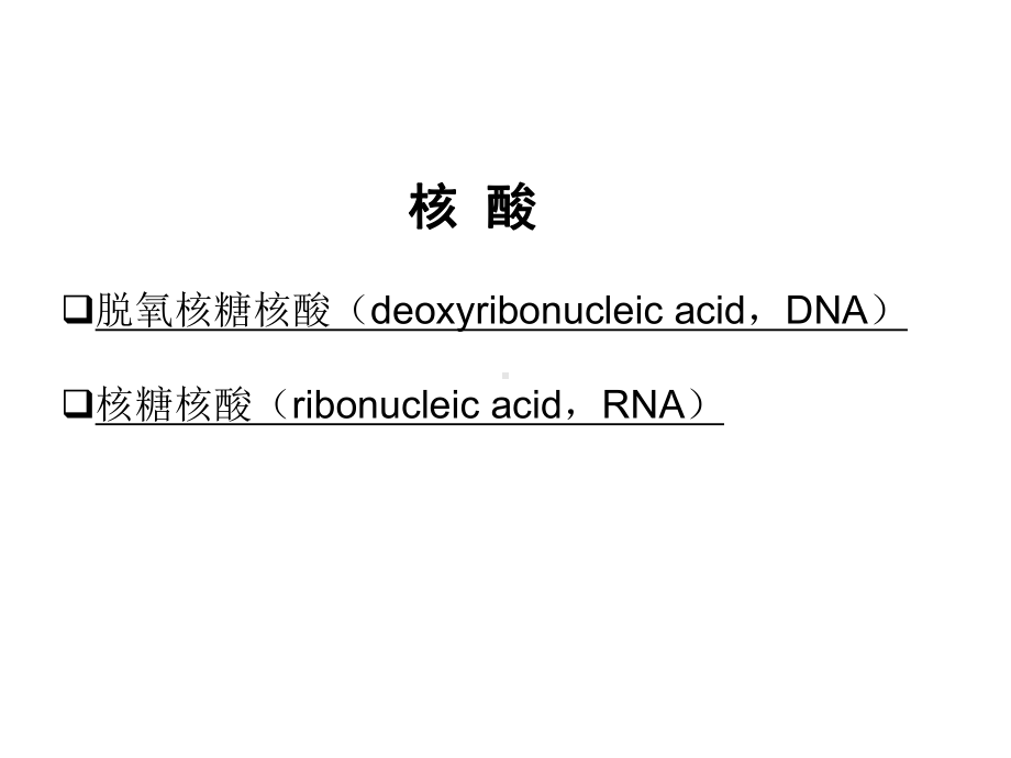 核酸与分子标志物课件.ppt_第3页