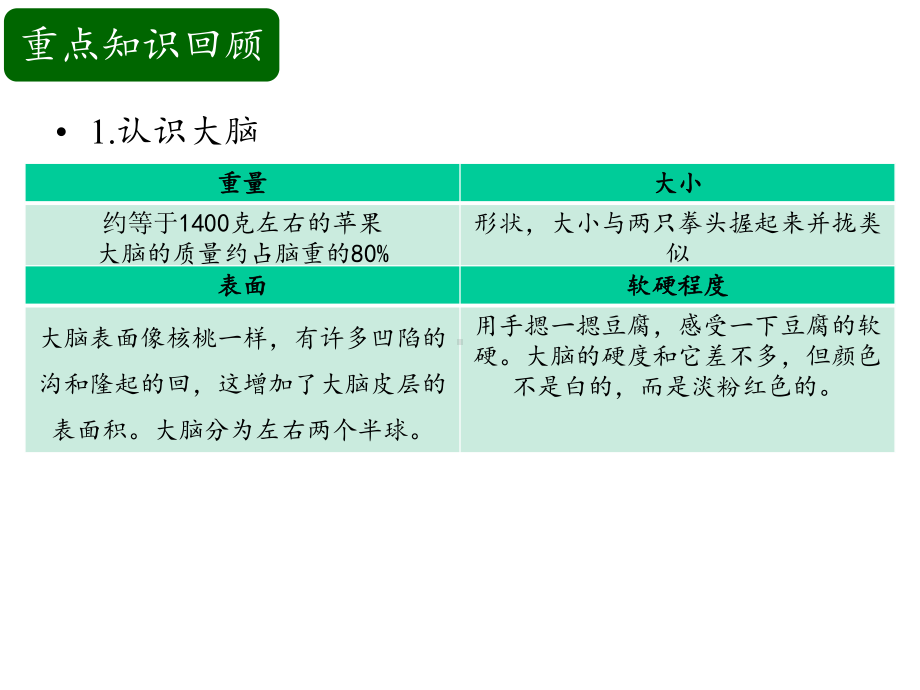 五下第5单元人体的“司令部”复习课件教学课件苏教版小学科学五年级下册-2.pptx_第3页